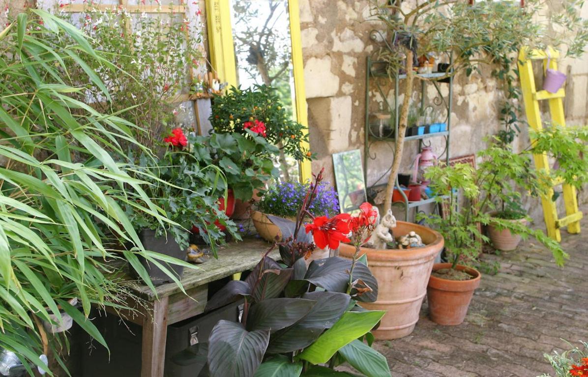 Les Petites Mirabelles Bed and Breakfast Noyers-sur-Cher Εξωτερικό φωτογραφία